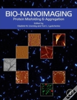 Capa do artigo Bio-Nanoimaging