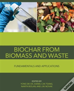 Capa do artigo Biochar From Biomass And Waste