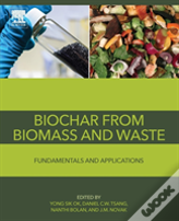 Biochar From Biomass And Waste