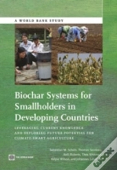 Biochar Systems For Smallholders In Developing Countries