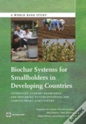 Capa do artigo Biochar Systems For Smallholders In Developing Countries