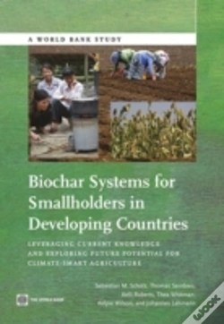 Capa do artigo Biochar Systems For Smallholders In Developing Countries
