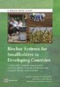 Biochar Systems For Smallholders In Developing Countries - Preview