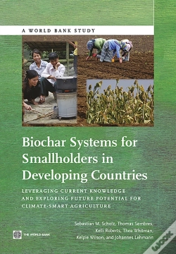 Capa do artigo Biochar Systems For Smallholders In Developing Countries