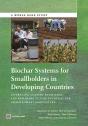 Biochar Systems For Smallholders In Developing Countries - Preview