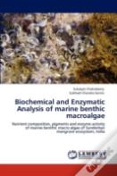 Biochemical And Enzymatic Analysis Of Marine Benthic Macroalgae