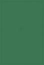 Biochemical Evolution - Preview