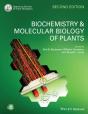 Biochemistry And Molecular Biology Of Plants - Preview