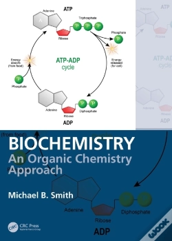 Capa do artigo Biochemistry