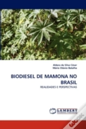 Capa do artigo Biodiesel De Mamona No Brasil