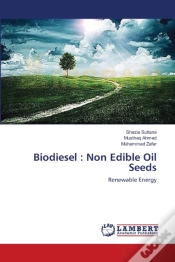 Capa do artigo Biodiesel