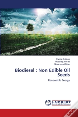 Capa do artigo Biodiesel