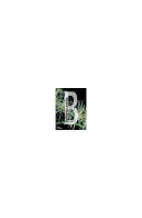 Biodiversitat Invisible