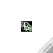 Capa do artigo Biodiversitat Invisible