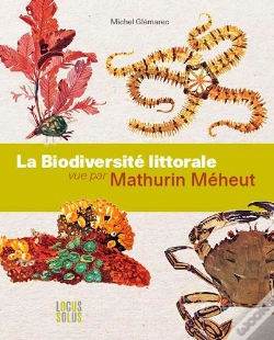 Capa do artigo Biodiversite Littorale Vue Par Mathurin Meheut