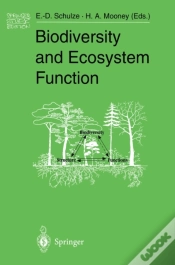 Capa do artigo Biodiversity And Ecosystem Function