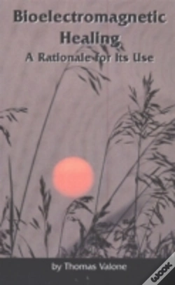 Capa do artigo Bioelectromagnetic Healing
