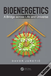 Capa do artigo Bioenergetics
