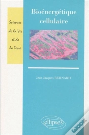 Capa do artigo Bioénergétique Cellulaire