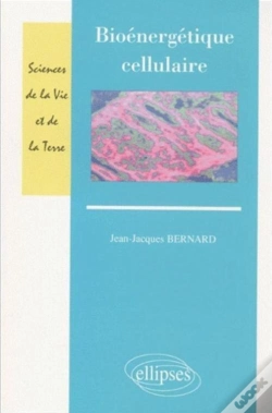 Capa do artigo Bioénergétique Cellulaire