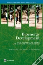 Capa do artigo Bioenergy Development