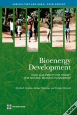 Capa do artigo Bioenergy Development