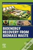 Bioenergy Recovery From Biomass Waste