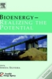 Capa do artigo Bioenergy