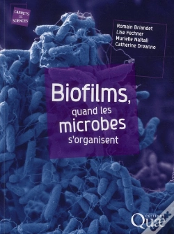 Capa do artigo Biofilms - Les Microbes S'Organisent