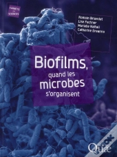 Biofilms - Les Microbes S'Organisent