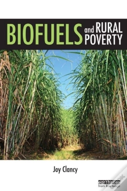 Capa do artigo Biofuels And Rural Poverty