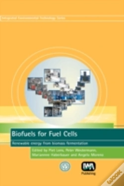 Capa do artigo Biofuels For Fuel Cells