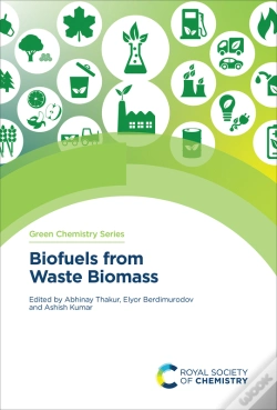 Capa do artigo Biofuels From Waste Biomass