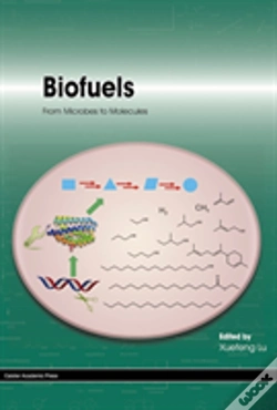 Capa do artigo Biofuels