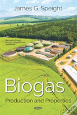 Capa do artigo Biogas