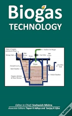 Capa do artigo Biogas Technology