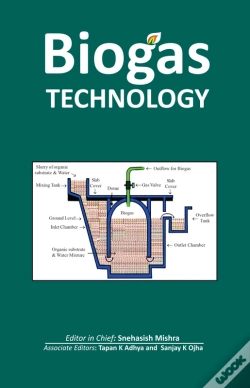 Capa do artigo Biogas Technology