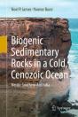 Biogenic Sedimentary Rocks In A Cold, Cenozoic Ocean - Preview