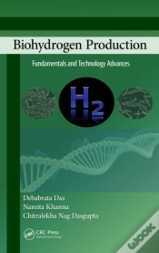 Capa do artigo Biohydrogen Production