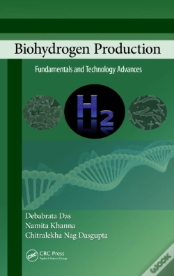 Capa do artigo Biohydrogen Production