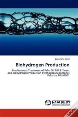 Capa do artigo Biohydrogen Production