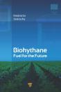 Biohythane - Preview