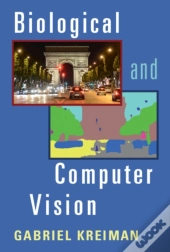 Biological And Computer Vision
