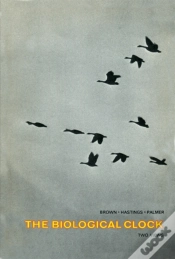 Capa do artigo Biological Clock