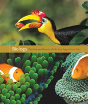 Biology - Preview