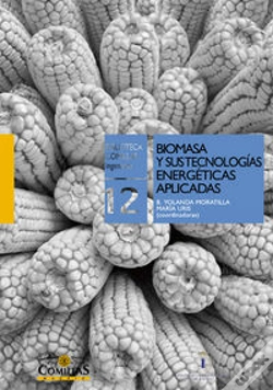 Capa do artigo Biomasa Y Sus Tecnolog¡As Energéticas Aplicadas
