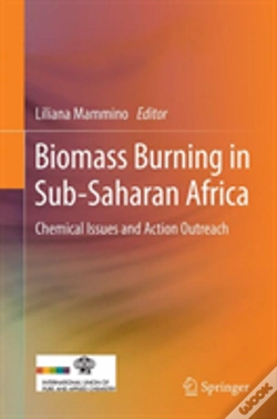 Capa do artigo Biomass Burning In Sub-Saharan Africa