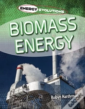 Capa do artigo Biomass Energy