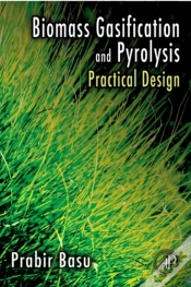 Capa do artigo Biomass Gasification And Pyrolysis