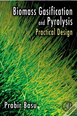Capa do artigo Biomass Gasification And Pyrolysis